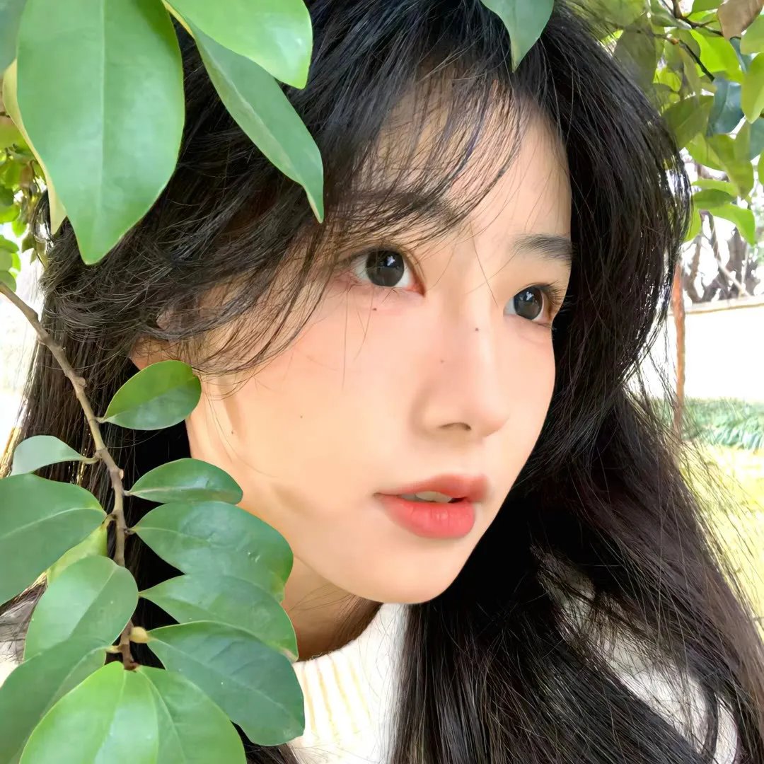 邓肯小镇第一季